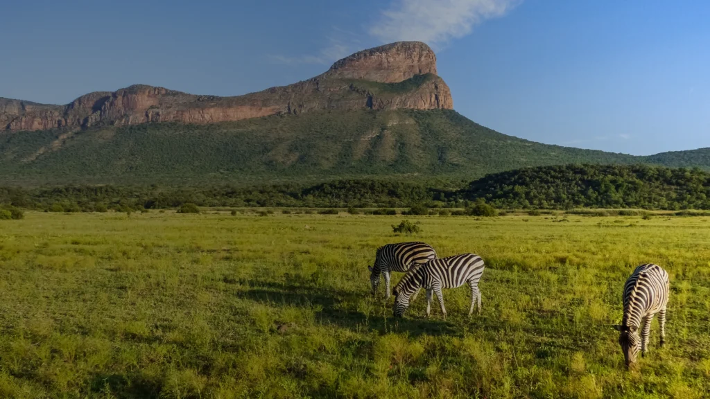 Voyage en Afrique du Sud - decouverte d'un pays aux multiples facettes